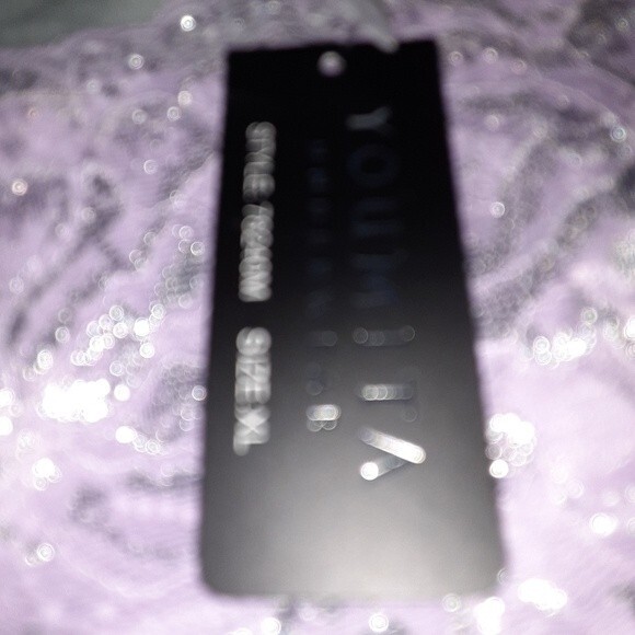 Youmita 40C Lavender Mist Metallic Lace Bra & XL Coordinating Boyshort NWT - Picture 12 of 12